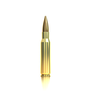 MUNITIONS SELLIER & BELLOT 308W FMJ 180 GRAINS