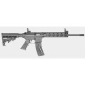 CARABINE S&W M&P15-22 SPORT 10208