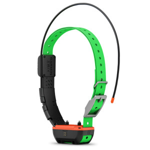 COLLIER DE SUIVI ET DE DRESSAGE GARMIN ALPHA TT25 F