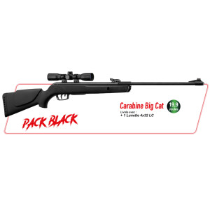 PACK CARABINE GAMO BIG CAT...